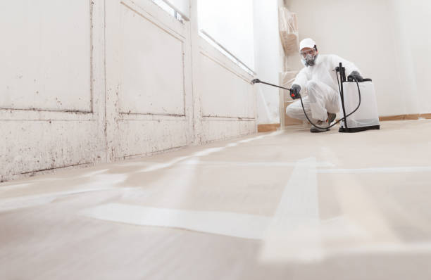 24/7 Emergency Mold Remediation experts in Weems, VA